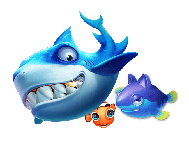 体育博彩玩家